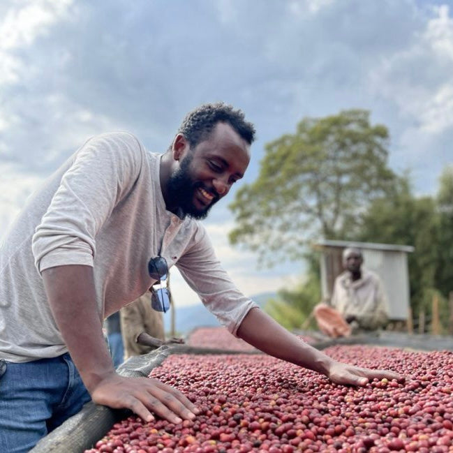 At Origin: Pink Sidama
